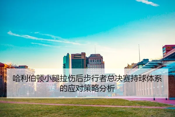 ha-li-bo-dun-xiao-tui-la-shang-hou-bu-xing-zhe-zong-jue-sai-chi-qiu-ti-xi-de-ying-dui-ce-lve-fen-xi-2-103.jpg