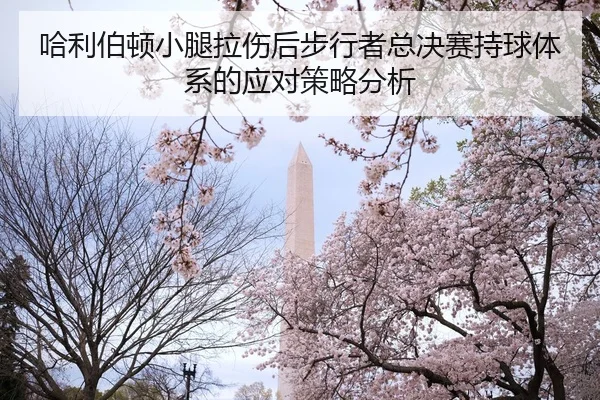 哈利伯顿小腿拉伤后步行者总决赛持球体系的应对策略分析