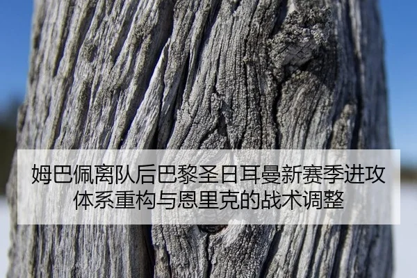 mu-ba-pei-li-dui-hou-ba-li-sheng-ri-er-man-xin-sai-ji-jin-gong-ti-xi-zhong-gou-yu-en-li-ke-de-zhan-shu-tiao-zheng-2-299.jpg