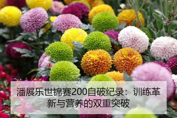 潘展乐世锦赛200自破纪录：训练革新与营养的双重突破
