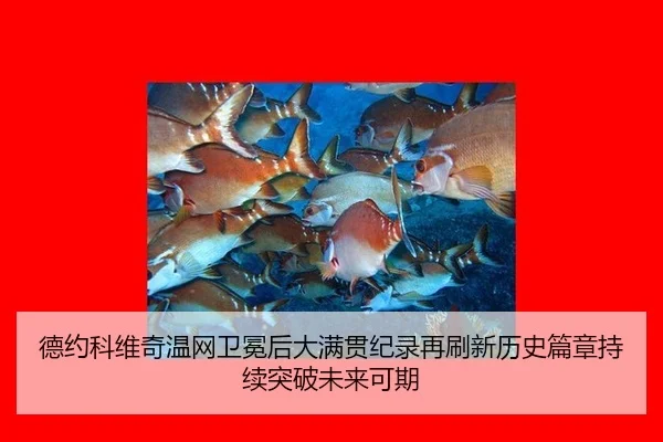 德约科维奇温网卫冕后大满贯纪录再刷新历史篇章持续突破未来可期